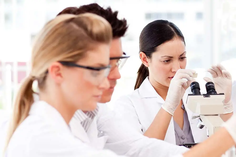 Scientists look at samples in a microscope